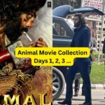 Animal Movie Collection
