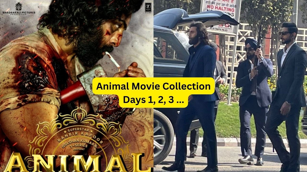 Animal Movie Collection